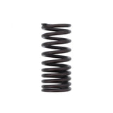 PAI INDUSTRIES ­-­ ESP-8160 ­-­ OUTER VALVE SPRING (6PCS) REPLACES MACK 575GC1100
