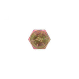 PAI INDUSTRIES ­-­ FSC-0835 ­-­ SCREW (5PCS) REPLACES MACK 3AX1344