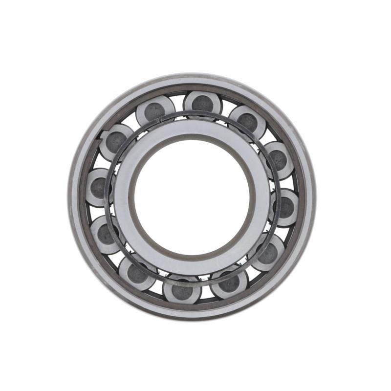 PAI INDUSTRIES ­-­ GBG-8954 ­-­ BEARING REPLACES FULLER 4302712