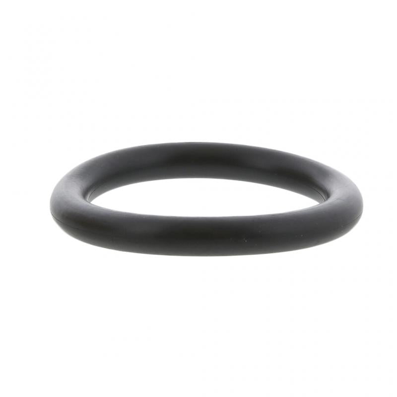 PAI INDUSTRIES ­-­ GGA-2938 ­-­ O-RING (10PCS) REPLACES MACK 56AX569