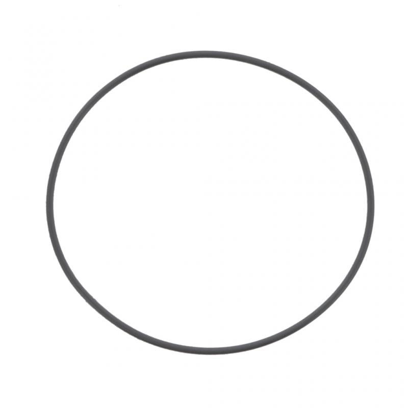 PAI INDUSTRIES ­-­ GGA-2992 ­-­ O-RING (10PCS) REPLACES MACK 56AX431