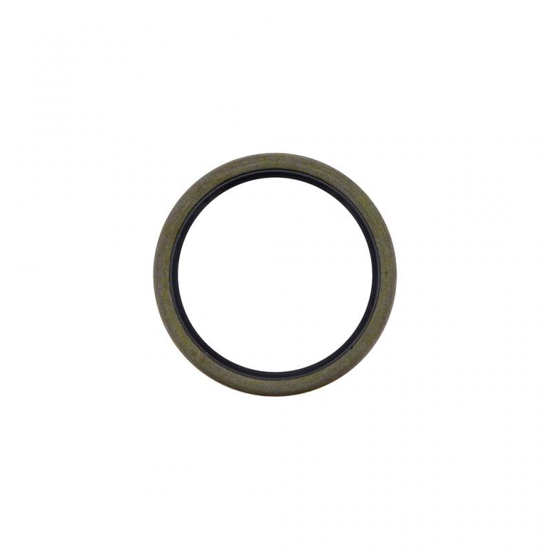PAI INDUSTRIES ­-­ GOS-6200 ­-­ SEAL (10PCS) REPLACES MACK 88AX350P3