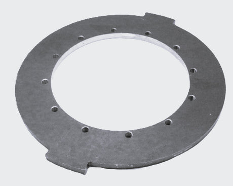 TEREX ­-­ 15268884 ­-­ PLATE FRICTION