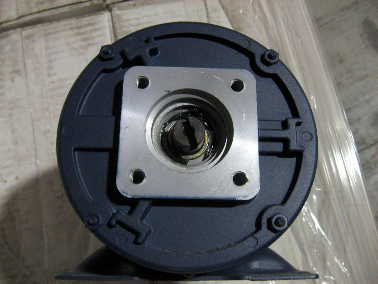 VIKING PUMP ­-­ 2-547-426-999-00 ­-­ LEESON M4S14DB3D 1/3 HP 50 HZ 1425 RPM 230 V