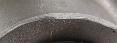 I000675506_100710.265.jpg