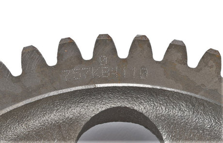 I001848168_120802.434.jpg