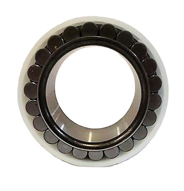BLAW KNOX ­-­ 20301248 ­-­ CYLINDRICAL ROLLER BEARING-INNER & ROLLERS 50mm ID