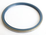 AXLETECH ­-­ RKM10041 ­-­ LIP SEAL 250x220x16