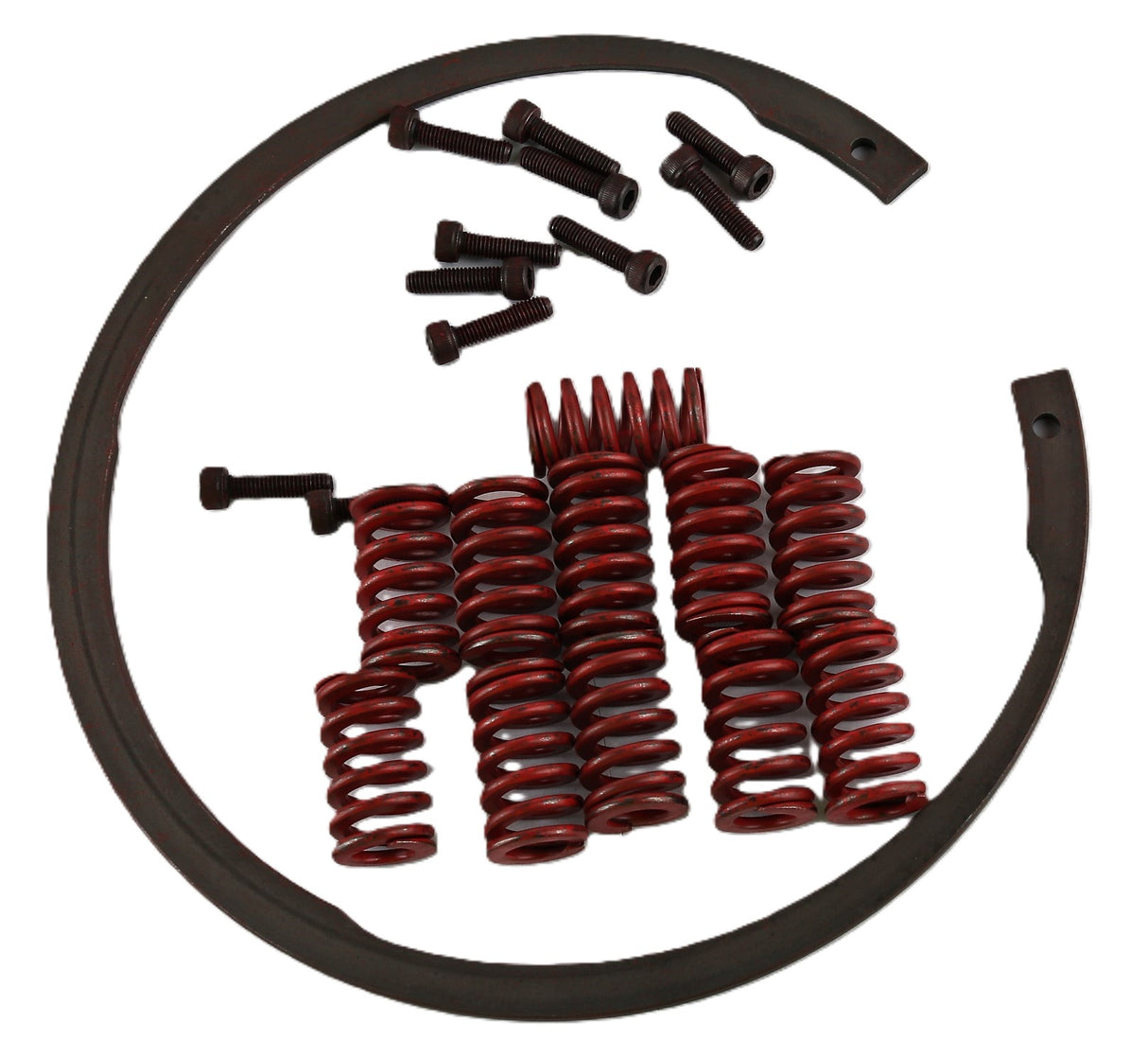 DANA ­-­ AM902314C1 ­-­ BRAKE SPRING KIT