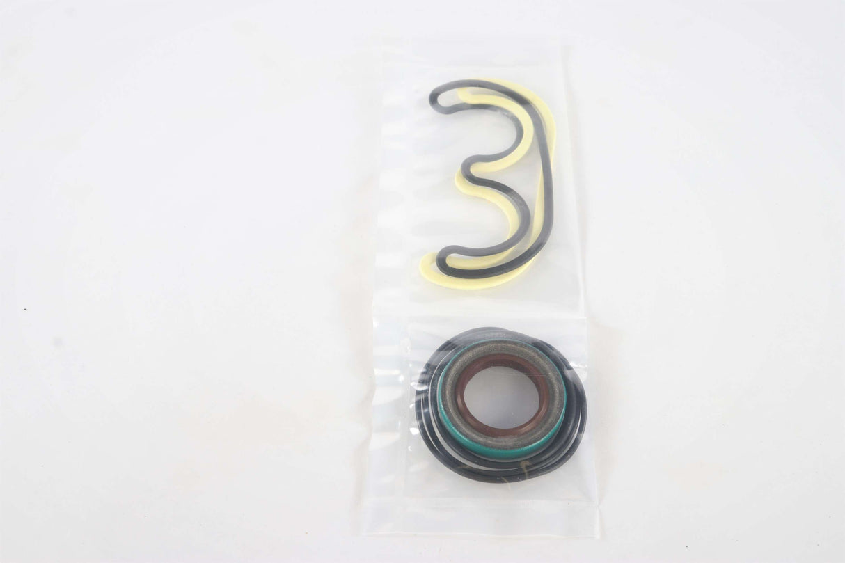 DANFOSS ­-­ 163D9119 ­-­ SEAL KIT - D PUMP SEALS  SINGLE