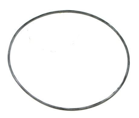 DANA SPICER ­-­ 599960 ­-­ O-RING