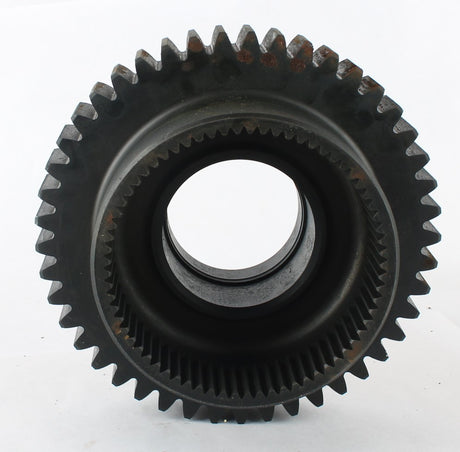 I004420947__81743.125.jpg