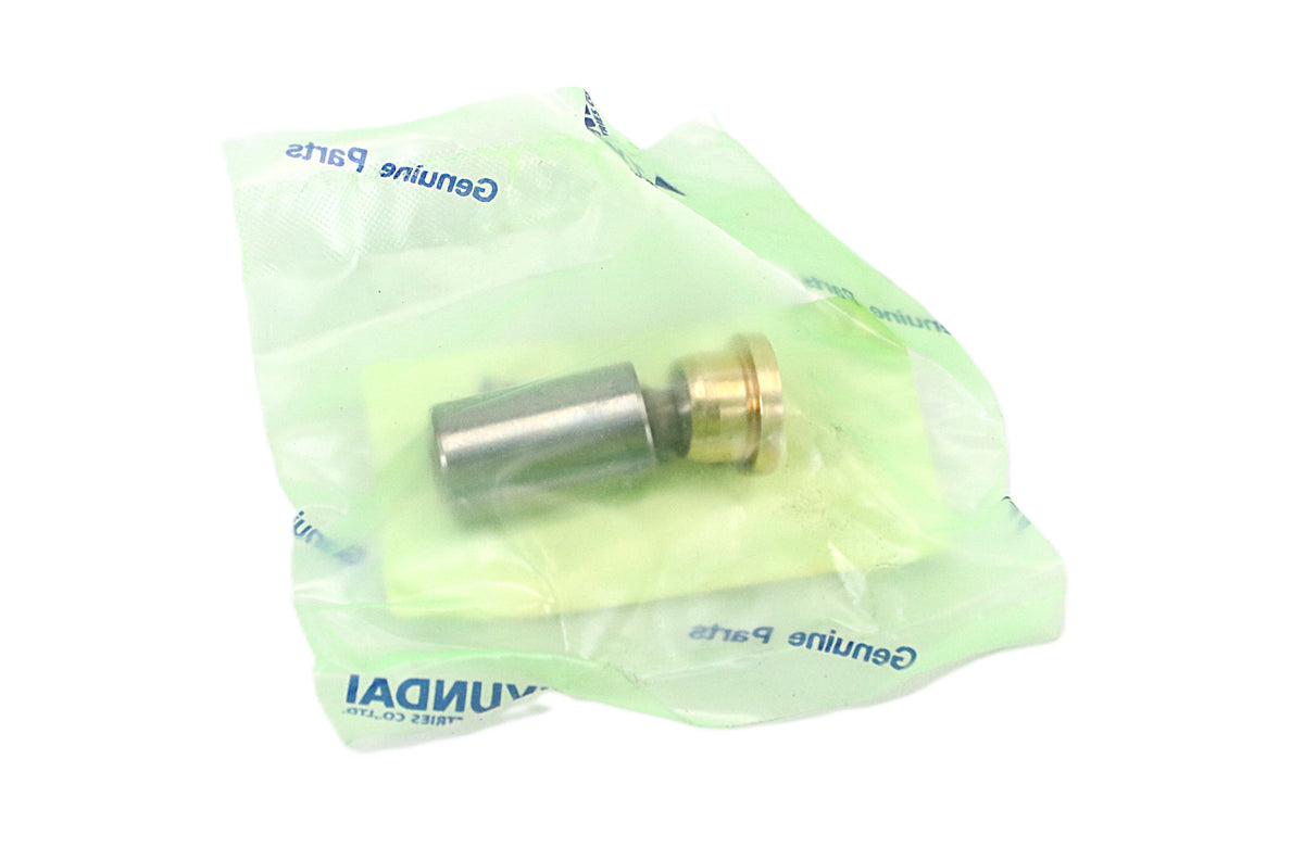 HYUNDAI - XJDD-00712 - PISTON&SHOE-ROTARY(1EA)