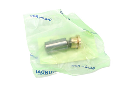 HYUNDAI ­-­ XJDD-00712 ­-­ PISTON&SHOE-ROTARY(1EA)