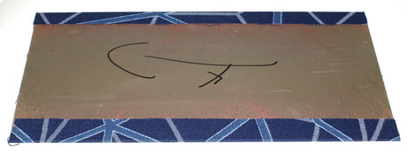 PREVOST ­-­ 312720P ­-­ FINISH. PANEL 427 MM
