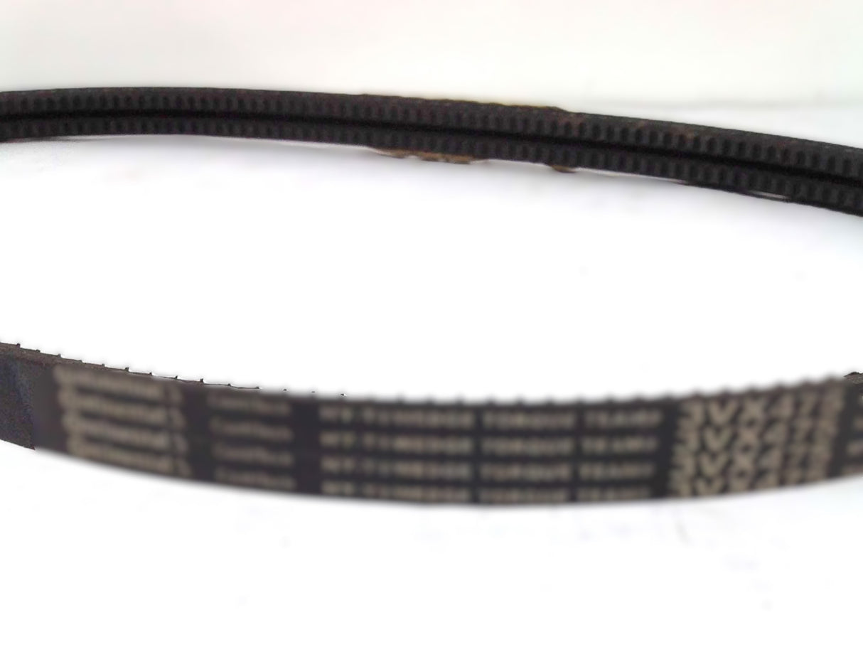 SCHWARZE ­-­ 28874 ­-­ V-BELT: 2-BAND