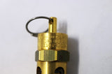 FLEXI-HINGE VALVE CO.   ­-­ ST25-1A150 ­-­ RELIEF VALVE  1/4IN NPT  150PSI