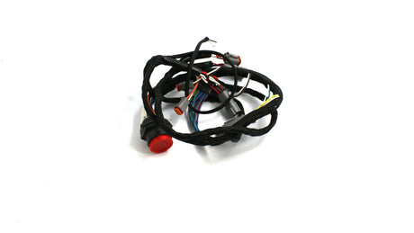 JLG ­-­ 1001189219 ­-­ HARNESSM PLEX RH BODY