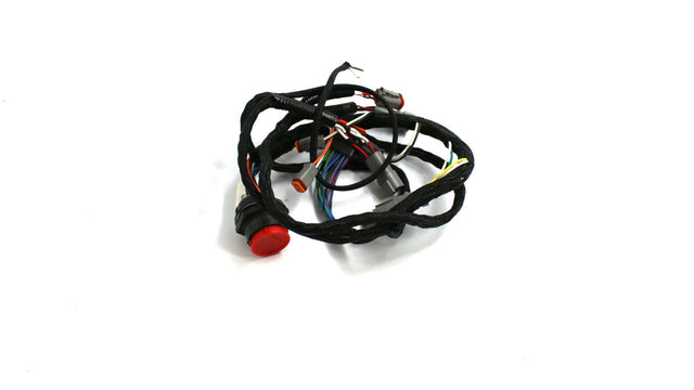 JLG ­-­ 1001189219 ­-­ HARNESSM PLEX RH BODY