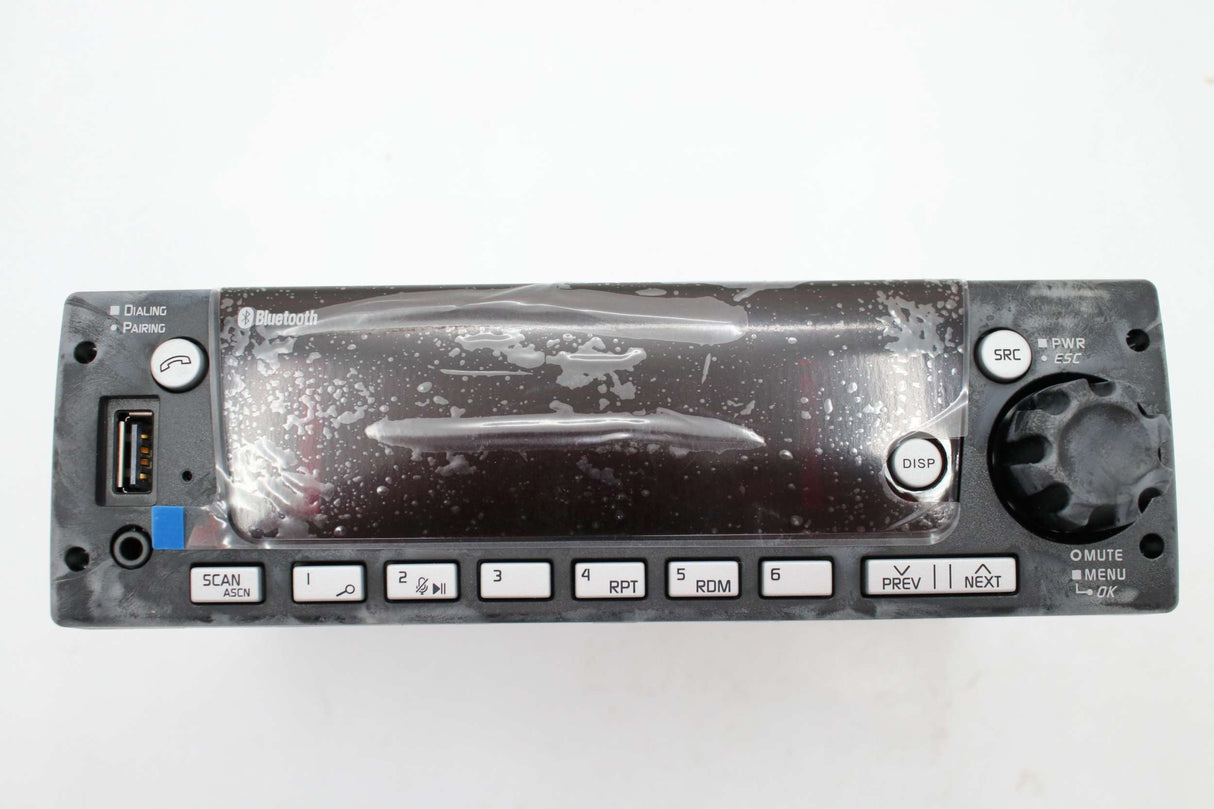 FREIGHTLINER TRUCK  ­-­ A22-79099-000 ­-­ RAD-DEA710 AM/FM/WB/BT/USB
