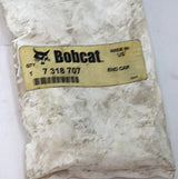 BOBCAT ­-­ 7318707 ­-­ END CAP