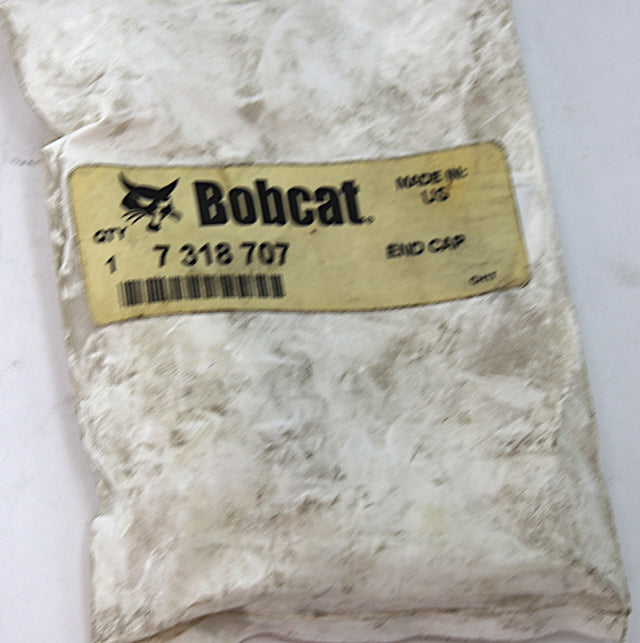 BOBCAT ­-­ 7318707 ­-­ END CAP