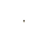 TIGERCAT ­-­ 41401A100 ­-­ PLUG - ORIFICE M5X0.8 1.0MM ID