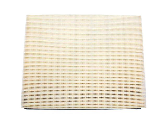 MACK ­-­ 5839-AF25757 ­-­ AIR FILTER - METAL PANEL