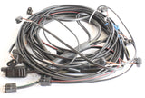 PETERSON MANUFACTURING ­-­ MS21-5151-00 ­-­ HARNESS - REAR 4 TAIL LIGHT