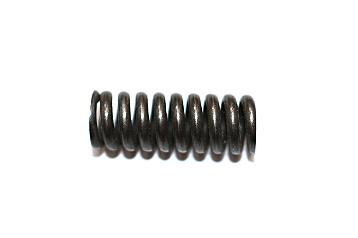 DANA SPICER ­-­ AM902419B1 ­-­ KIT - BRAKE SPRING REPAIR