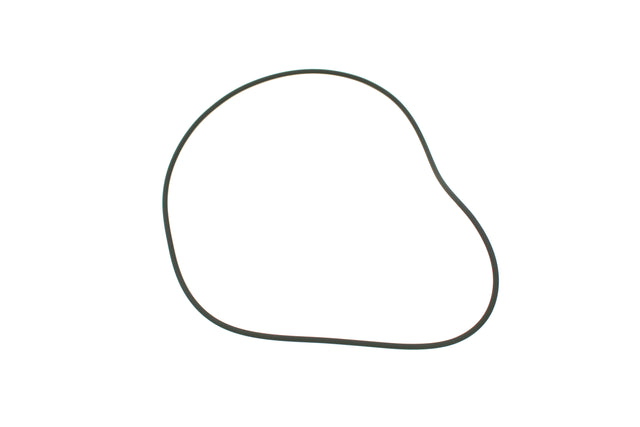 EDMAC ­-­ 3003124993 ­-­ O-RING - STANDARD 95998076 IR