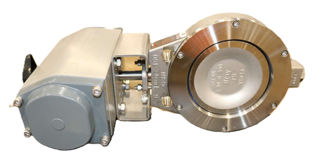 BRAY-RITE ­-­ 400600-1100D02P ­-­ VALVE ASSEMBLY DN150 WITH CERT