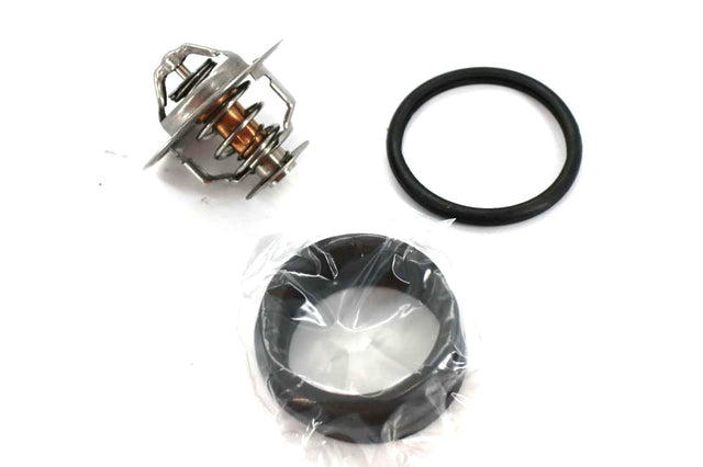 BLUMAQ ­-­ CU3928499 ­-­ THERMOSTAT